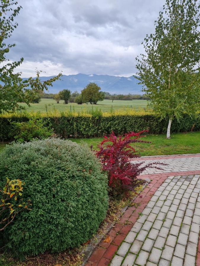Guesthouse Green Fields Garmen Dış mekan fotoğraf