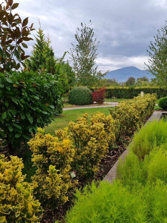 Guesthouse Green Fields Garmen Dış mekan fotoğraf
